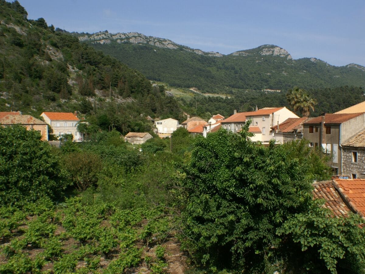 Apartment Trstenik Ausstattung 1