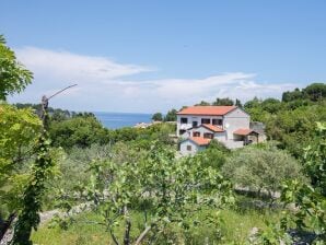 Apartment Kein Titel - Veli Losinj - image1