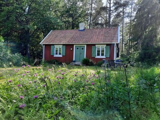 Sommer in Schweden