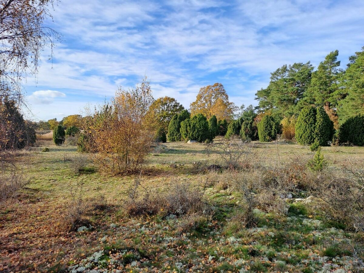 Naturreservat Örarevet