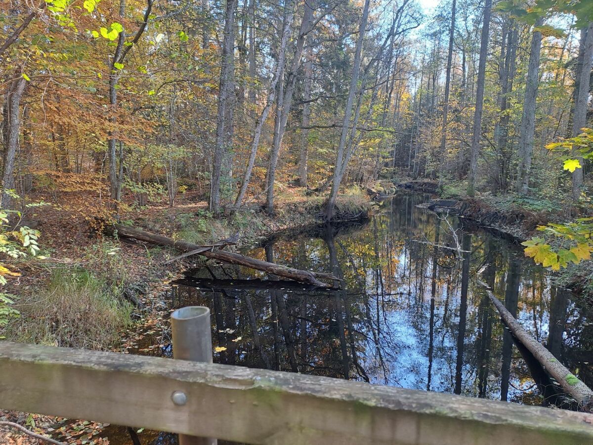 Naturreservat Vinterbo