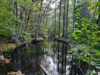Small stream nearby