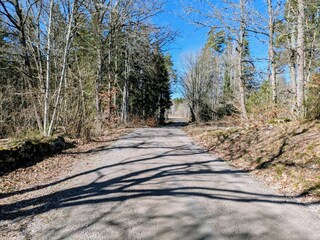 Small path in front of the house