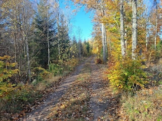 Beautiful hiking trails