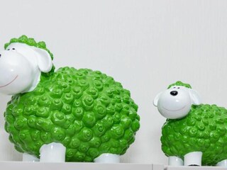 Ferienwohnung Cuxhaven Ausstattung 26