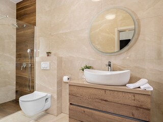 Villa Kanfanar Caratteristiche 21