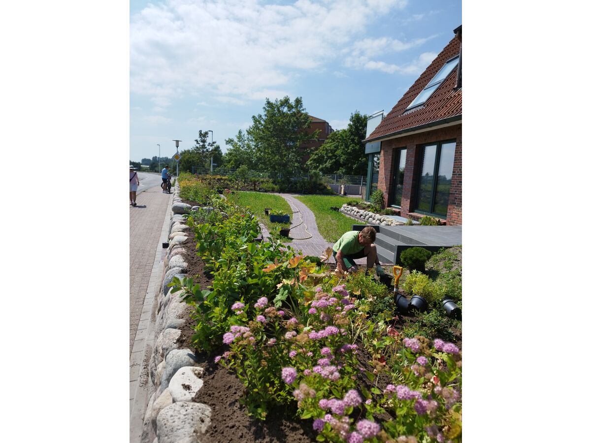 View of the garden