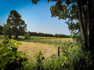 Vakantiehuis Eastermar Omgeving 27