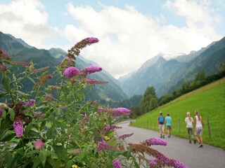 Cottage Kaprun Outdoor Recording 8