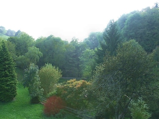 Genießen Sie den Ausblick in den Schwarzwald