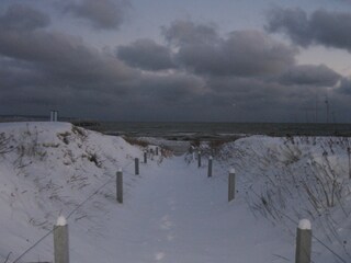 Road to the beach in winter