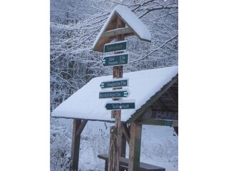 Signpost in the Granitz Forest