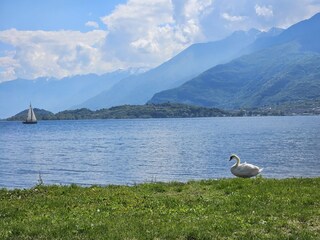 Appartamento per vacanze Colico Ambiente 26