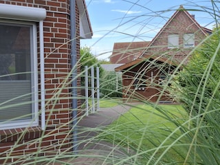 Blick auf eingezäunten Garten