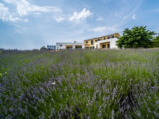 Villa Divšići Ambiente 41