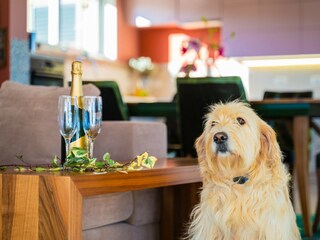 Villa Divšići Caratteristiche 20