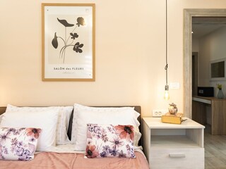 Villa Stanišovi Características 26