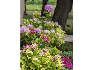 Appartement Valbandon Buitenaudio-opname 5