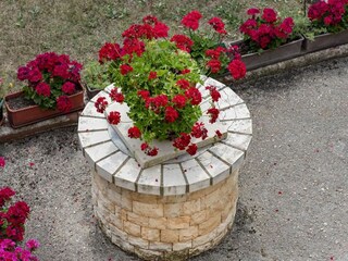 Appartement Valbandon Buitenaudio-opname 6