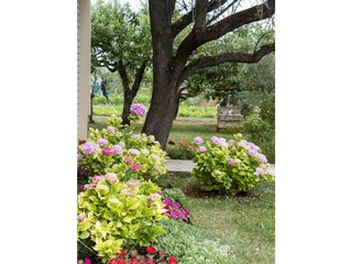 Appartamento Valbandon Registrazione all'aperto 6