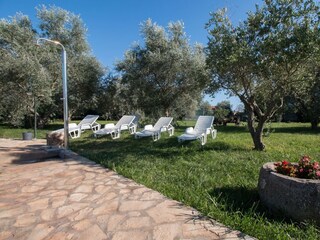 Shared Garden