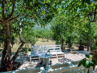 Villa Šipanska Luka  39