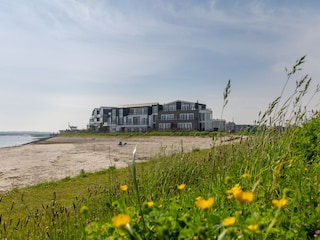 Ferienhaus Sint-Annaland Außenaufnahme 7