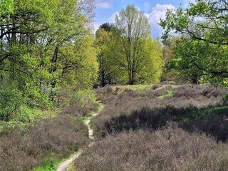 Villa Venray Environnement 35