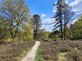 Villa Venray Umgebung 21