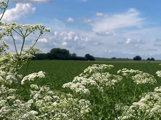 Villa Venray Environment 36