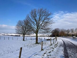 Villa Venray Omgeving 26
