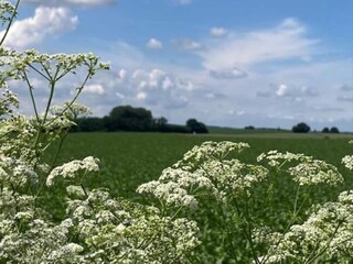 Villa Venray Umgebung 32
