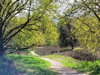 Villa Venray Environment 18