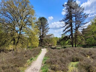 Villa Venray Environment 21
