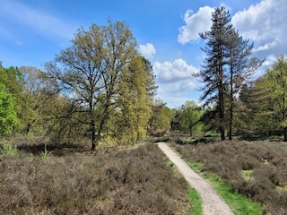 Villa Venray Umgebung 41