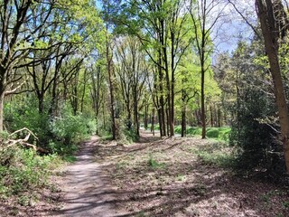 Villa Venray Omgeving 21