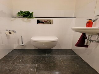 Villa Venray Caratteristiche 11