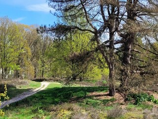Villa Venray Environment 16
