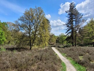 Villa Venray Environment 17