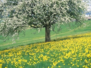 Villa Venray Environment 24