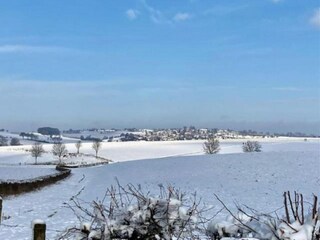 Villa Venray Environnement 26