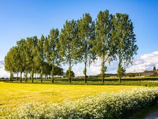 Vakantiehuis Zelhem Omgeving 36