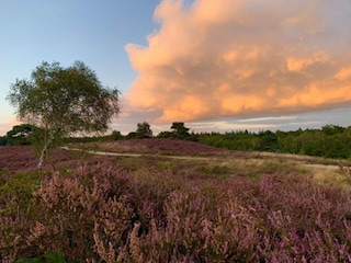 Maison de vacances Zelhem Environnement 35
