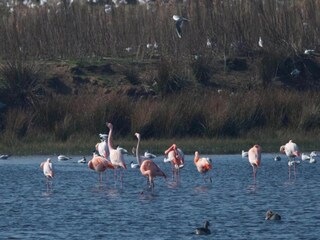 Holiday house Zelhem Environment 32