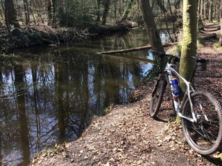 Maison de vacances Zelhem Environnement 36