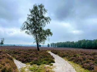 Vakantiehuis Zelhem Omgeving 29