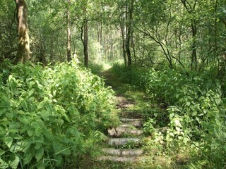 Maison de vacances Zelhem Environnement 19