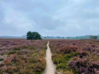 Maison de vacances Zelhem Environnement 34