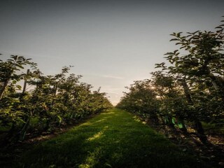 Holiday house Zelhem Environment 20