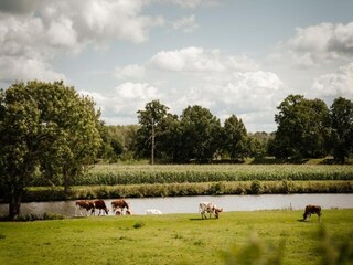 Maison de vacances Zelhem Environnement 22